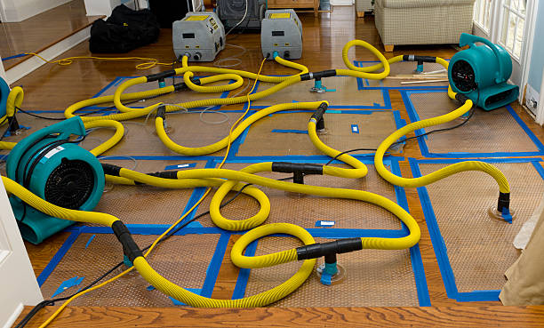 Professional Crawl Space Water Removal technician working in Sugar Tree, TN